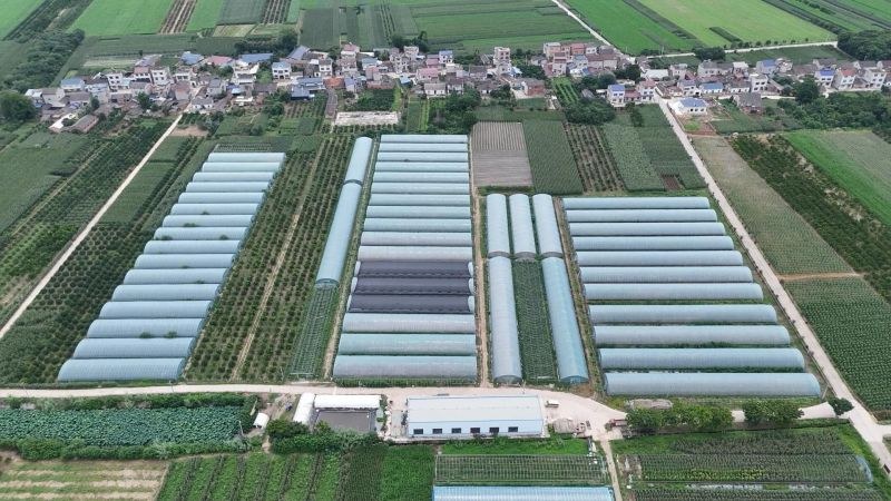 古田产区食用菌种植基地（源图为庆阳产区）